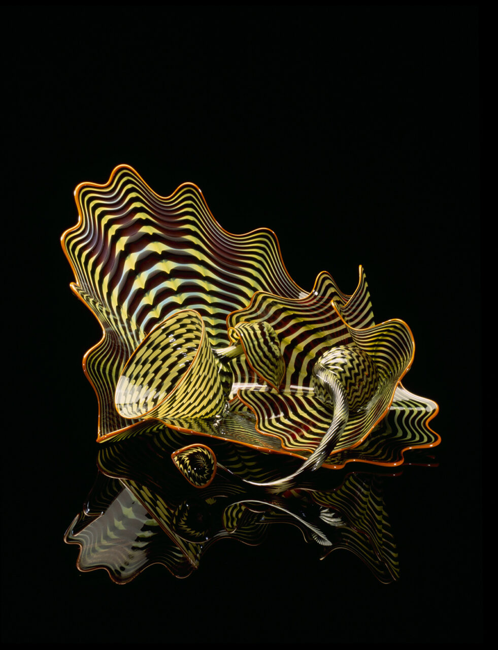 Dale Chihuly | Sandra Ainsley Gallery