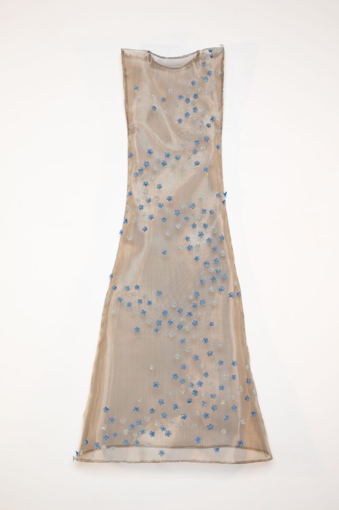 Tanya Lyons | Forget Me Not