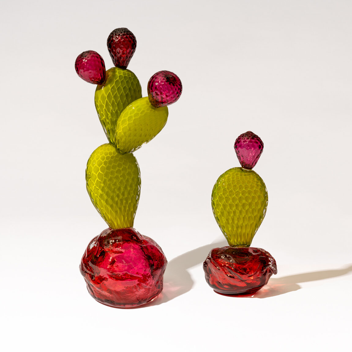 Manolo Aguilera | Nopales